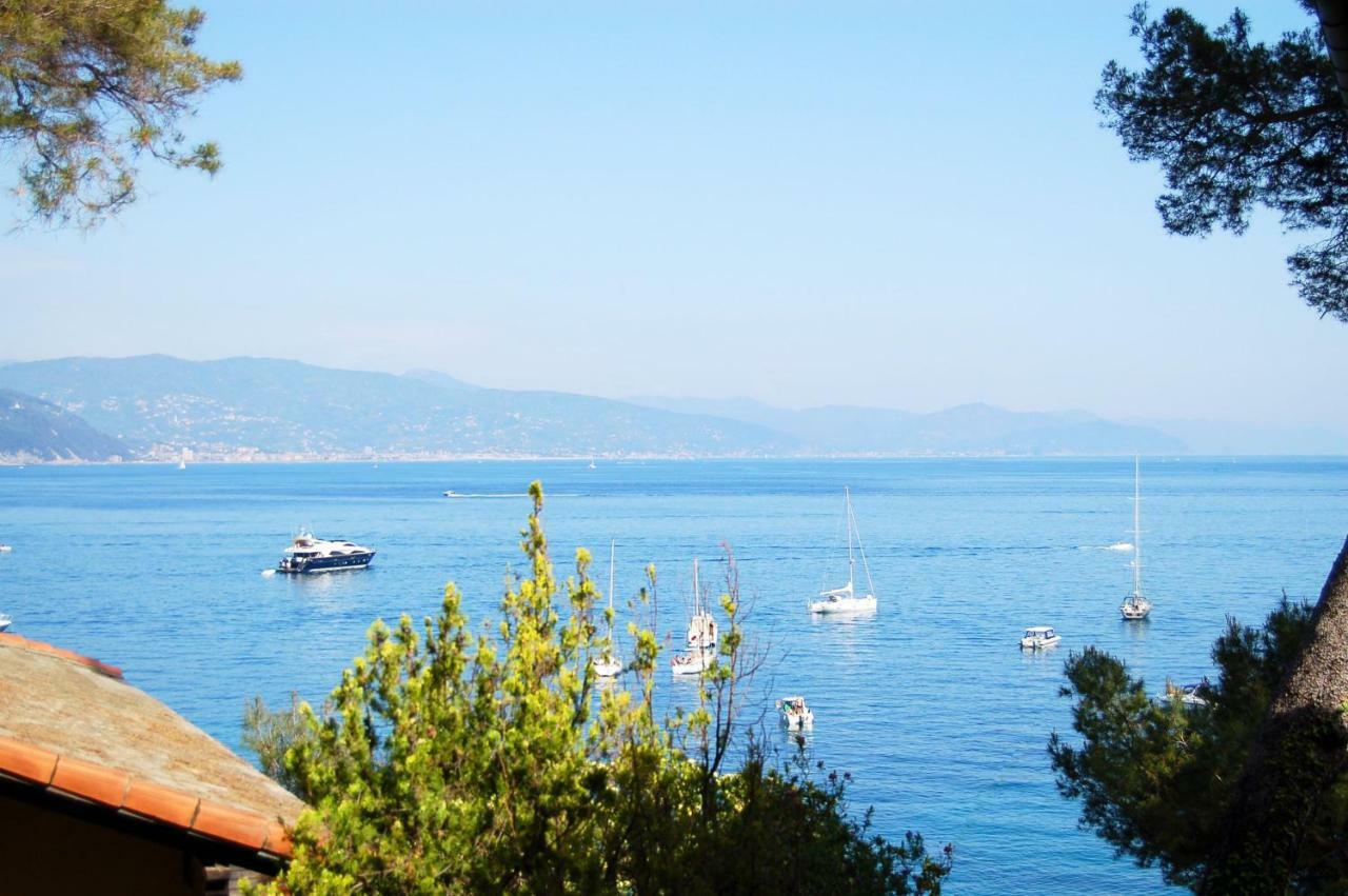 Portofino Seaview Apartment, 50 Meters From The Beach, Free Parking, Air Conditioning Paraggi Buitenkant foto