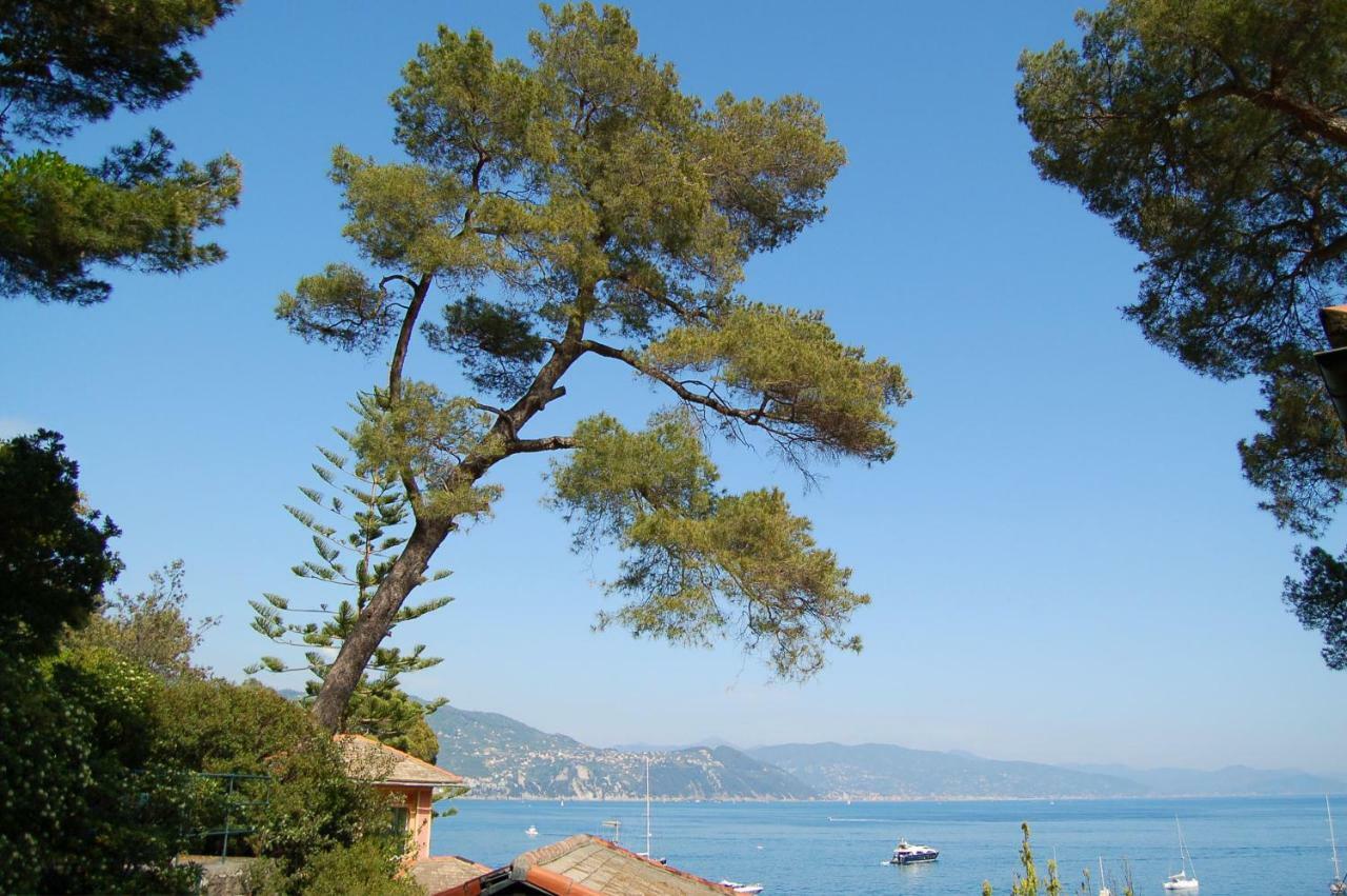 Portofino Seaview Apartment, 50 Meters From The Beach, Free Parking, Air Conditioning Paraggi Buitenkant foto